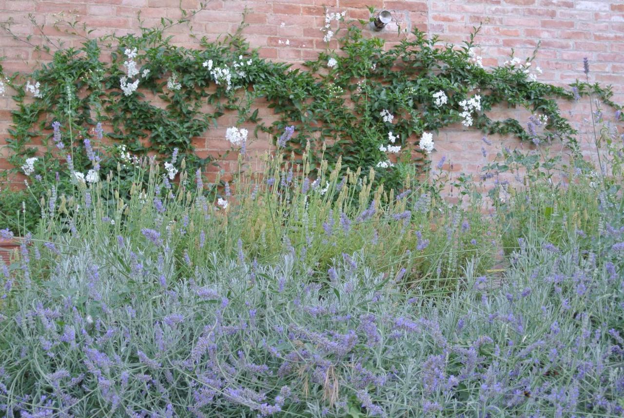 Villa Caprera Siena Esterno foto