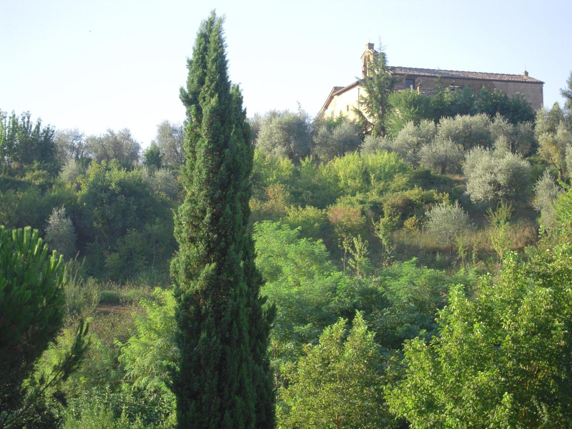 Villa Caprera Siena Camera foto